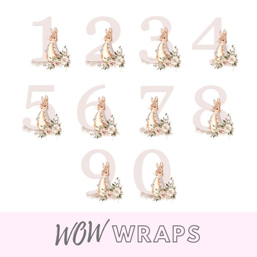 PETER RABBIT NUMBER & NAME- MONEY BOX UV-DTF DECAL - Wow Wraps