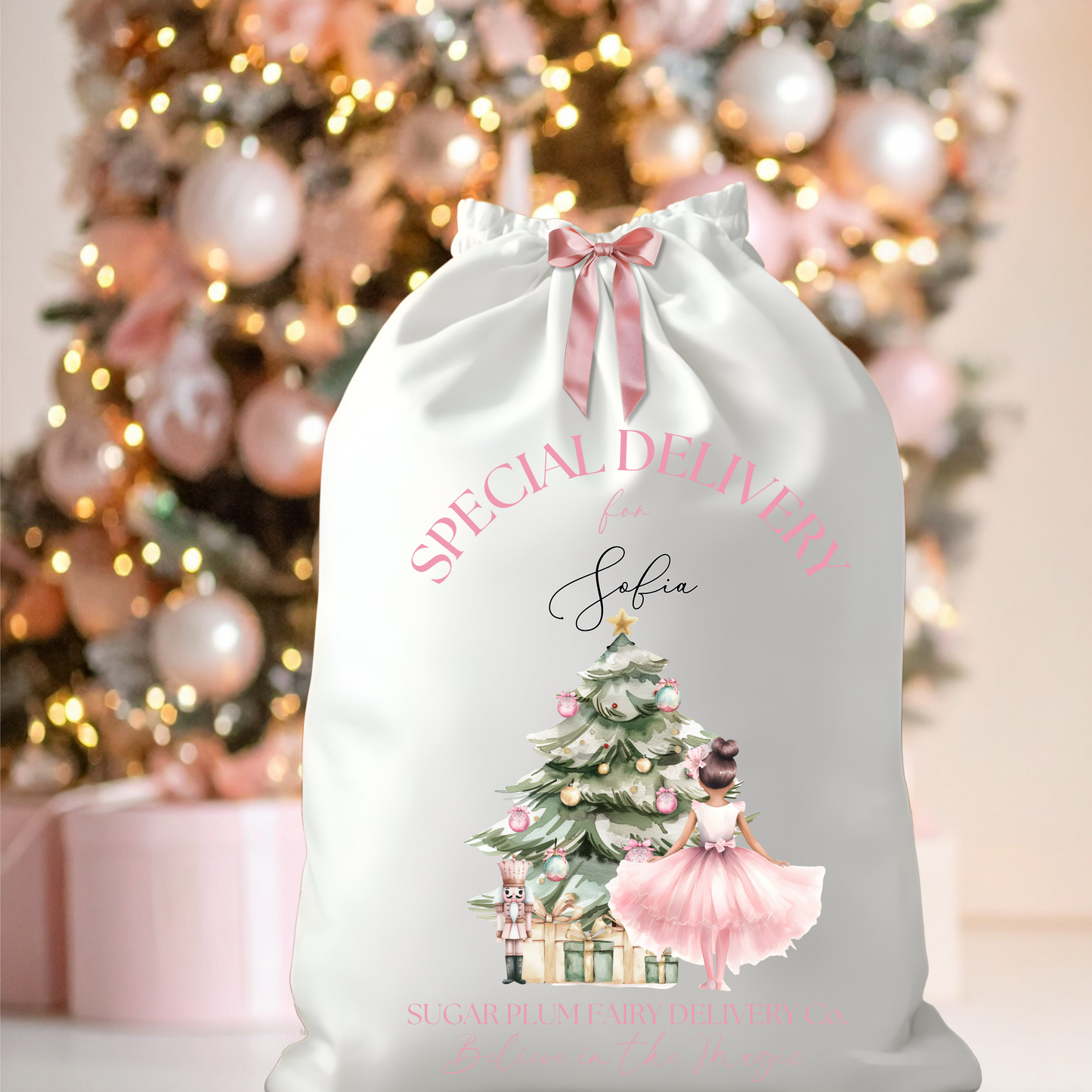 BALLERINA SPECIAL DELIVERY CHRISTMAS SACK DTF TRANSFER