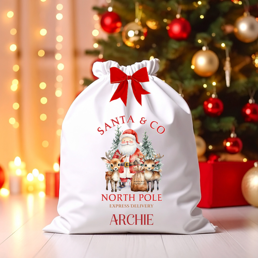 SANTA & REINDEER EXPRESS DELIVERY CHRISTMAS SACK DTF TRANSFER