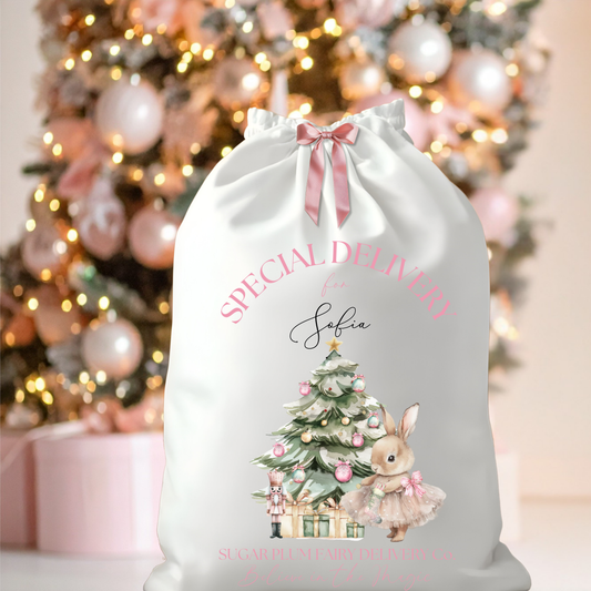 SUGAR PLUM FAIRY SPECIAL DELIVERY CHRISTMAS SACK DTF TRANSFER