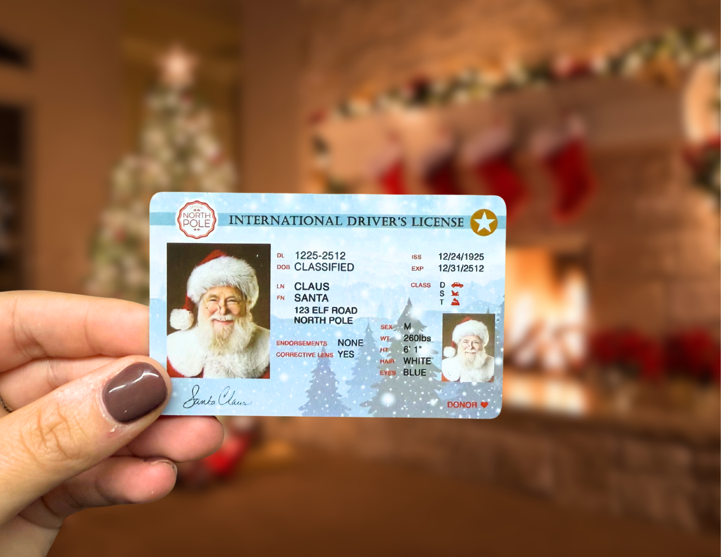 SANTA DRIVING LICENSE - PACK OF 5