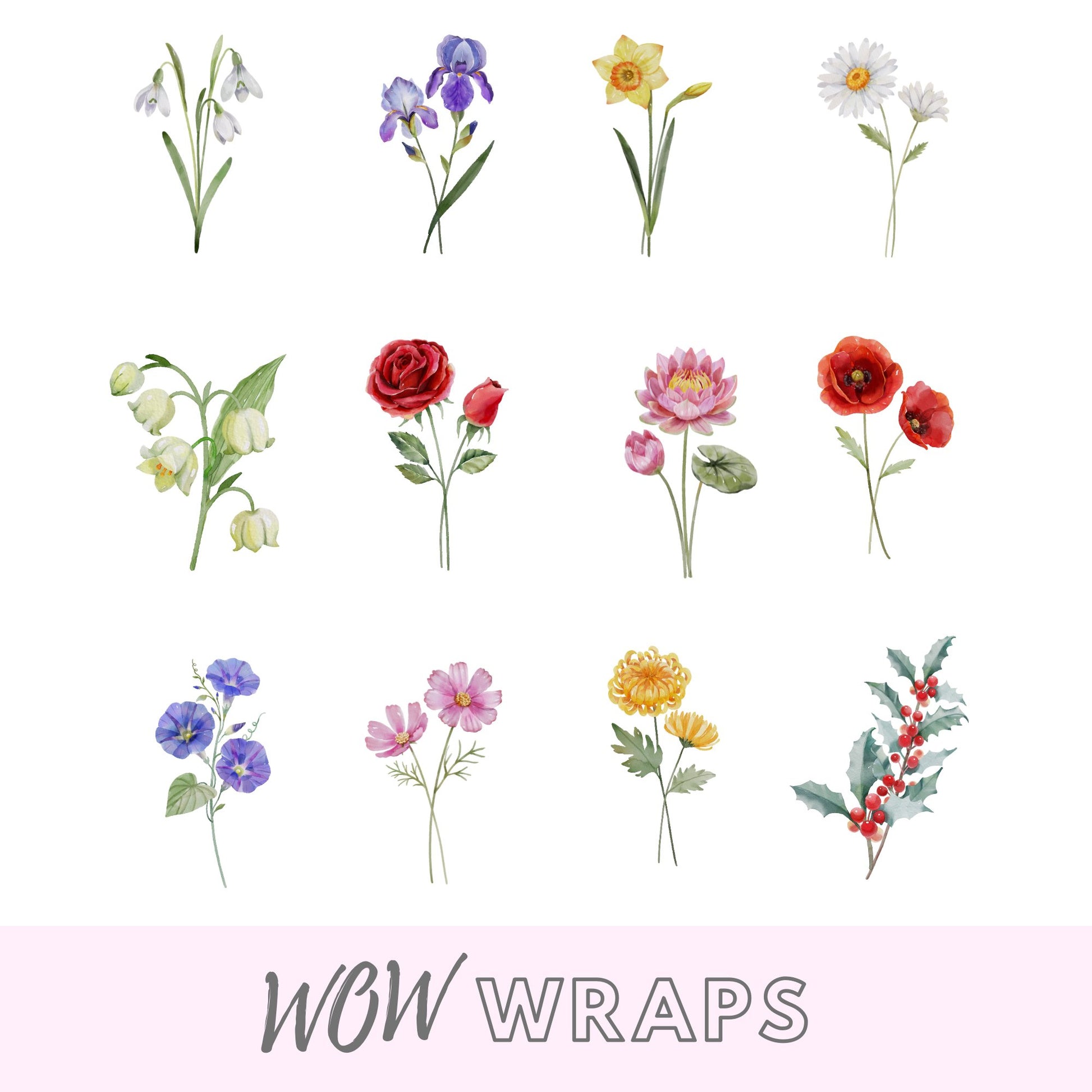 BIRTH MONTH WATER COLOUR FLOWERS - Wow Wraps