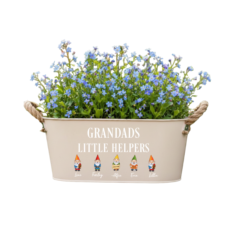 grandads little helpers gnomes uvdtf