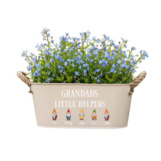 grandads little helpers gnomes uvdtf